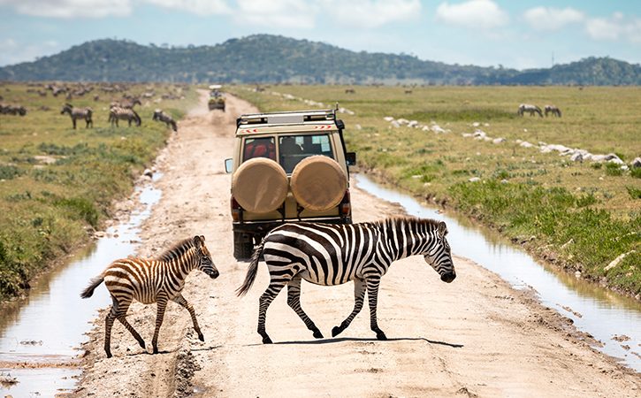 Serengeti National Park